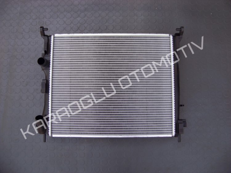 Kangoo Clio Master Decoder Beyni 8200032776 8200739679 8200900862 8200943190