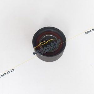 Megane Scenic Alternatör Gergi Rulmanı 1.9 F9Q 7700870937 8200065479