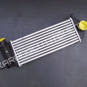 Kangoo 3 Turbo Radyatörü 144963234R