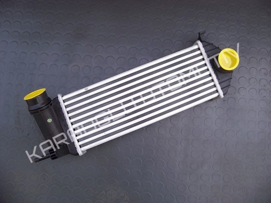 Kangoo 3 Turbo Radyatörü 144963234R