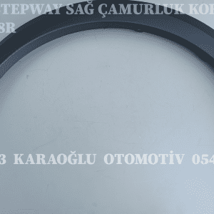 YENİ SANDERO STEPWAY SAĞ ÇAMURLUK KORUMA BANDI DODİK 638123878R