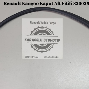 8200253235 Renault Kangoo Kaput Alt Fitili