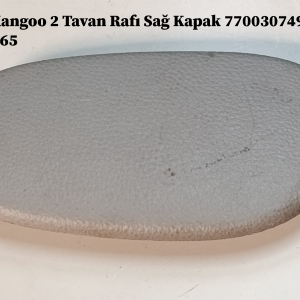 7700307498 8200109565 Renault Kangoo 2 Tavan Rafı Sağ Kapak
